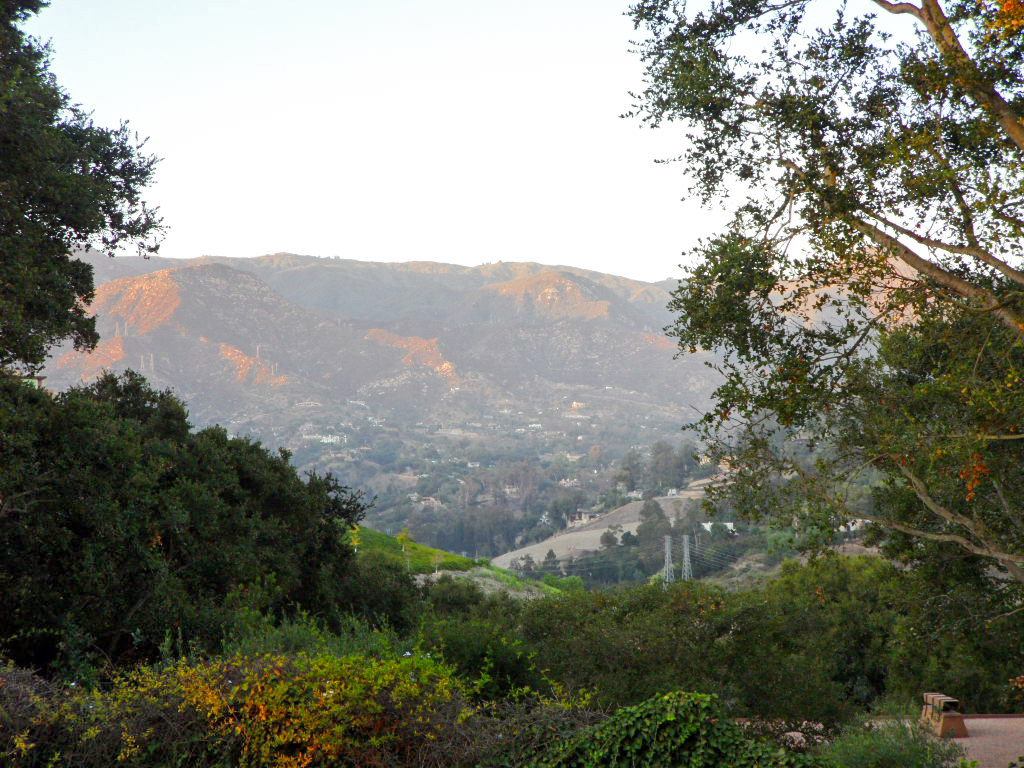 238 Las Alturas Road Santa Barbara, CA 93103 - Photo 15 of 20 a view of a yard with a tree