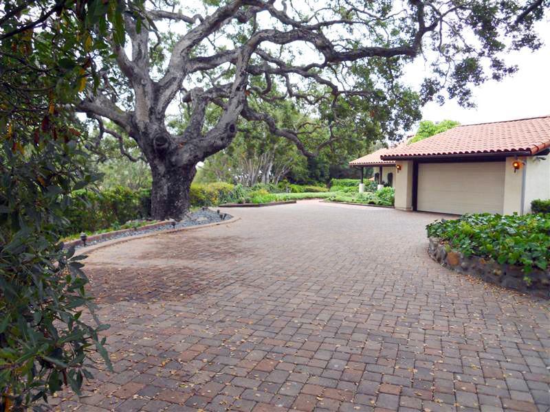238 Las Alturas Road Santa Barbara, CA 93103 - Photo 20 of 20 a pathway of a house with a tree