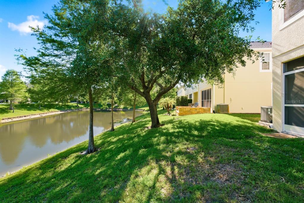 336 Harbor Ridge Drive Palm Harbor, FL 34683 - Photo 25 of 28
