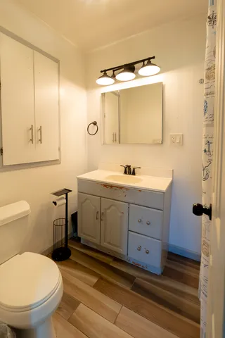 a bathroom with a toilet a sink and mirror