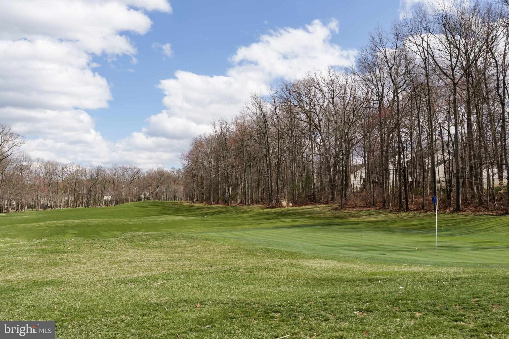 248 Patriots Way Elkton, MD 21921 - Photo 35 of 40 a grassy field with trees in the background