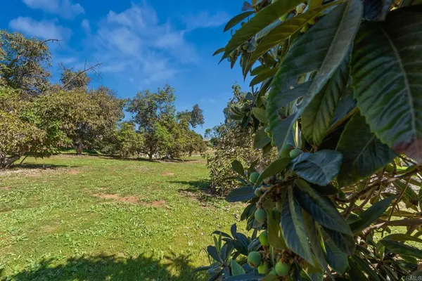 $1,167,000 | 11460 Pinehurst Drive, Lakeside, CA 92040