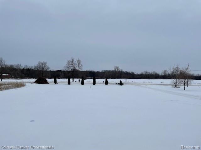 7829 Pittsburg Road Durand, MI 48429 - Photo 50 of 50 Front yard view of fields!