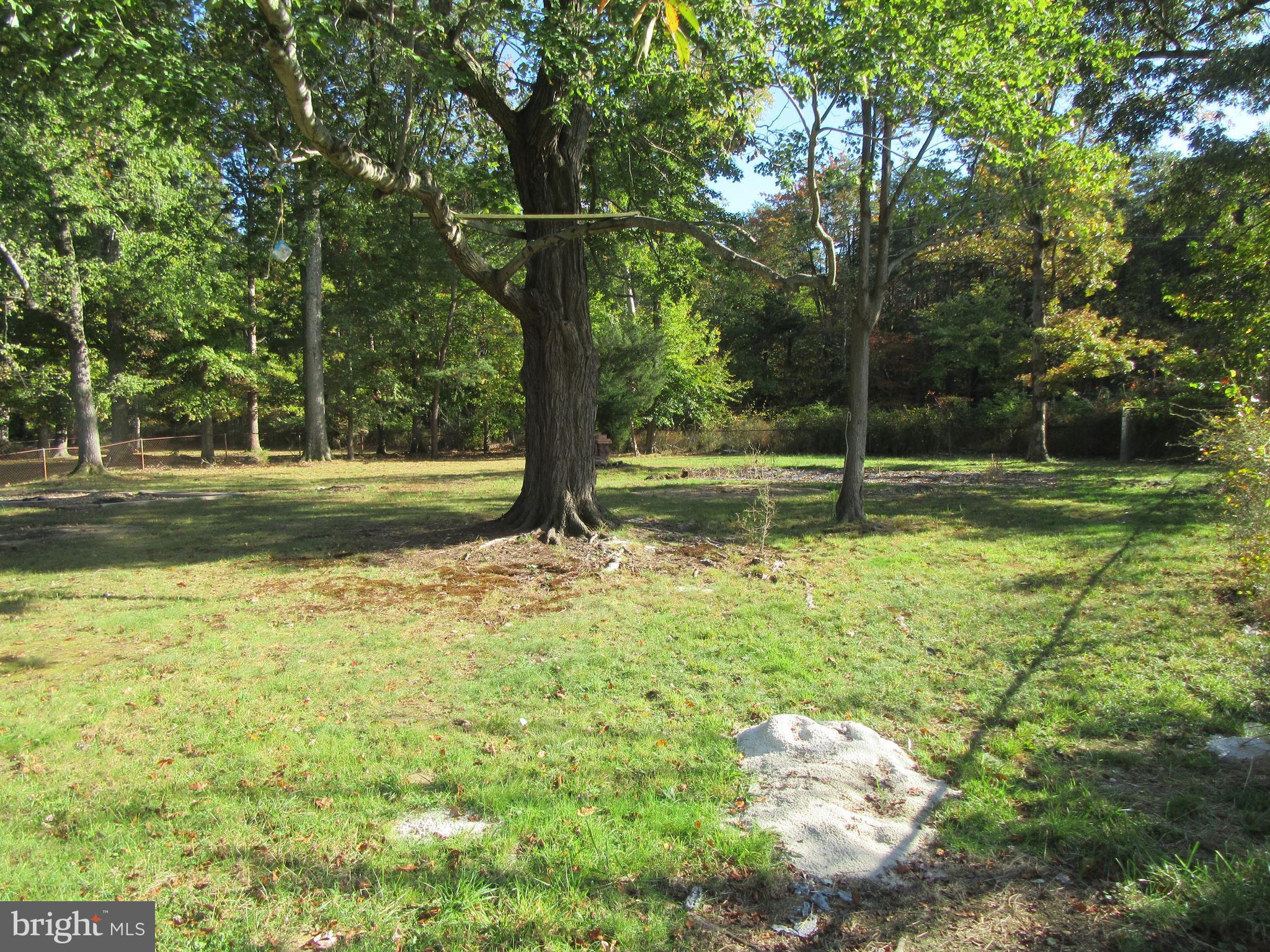 8201 Sonar Road Clinton, MD 20735 - Photo 21 of 28 Back Yard