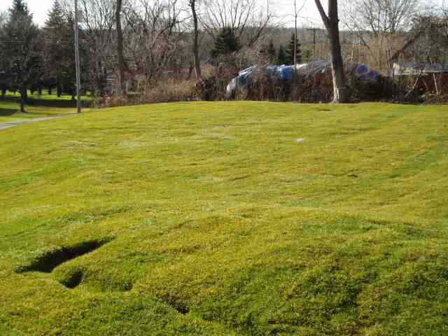 5975 Johnston Road Slingerlands, NY 12159 - Photo 7 of 9 Photo 7