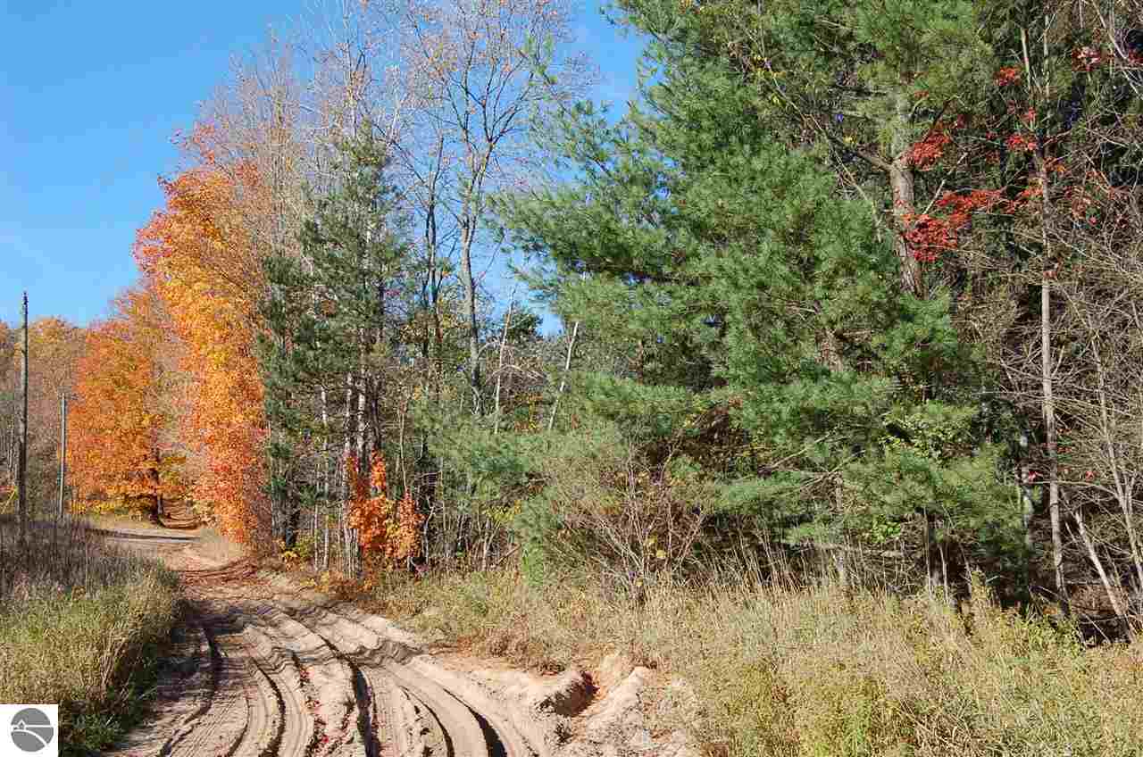 0 North Dundas Rd Rapid Alden, MI 49612 - Photo 11 of 12