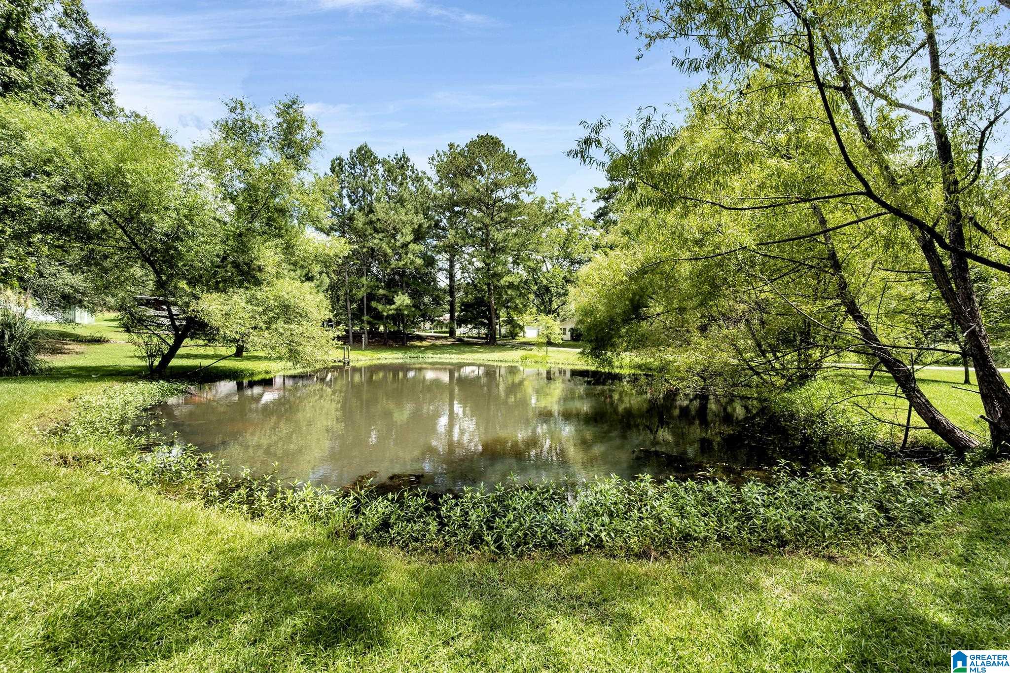 4430 Jewell Road Pinson, AL 35126 - Photo 37 of 37