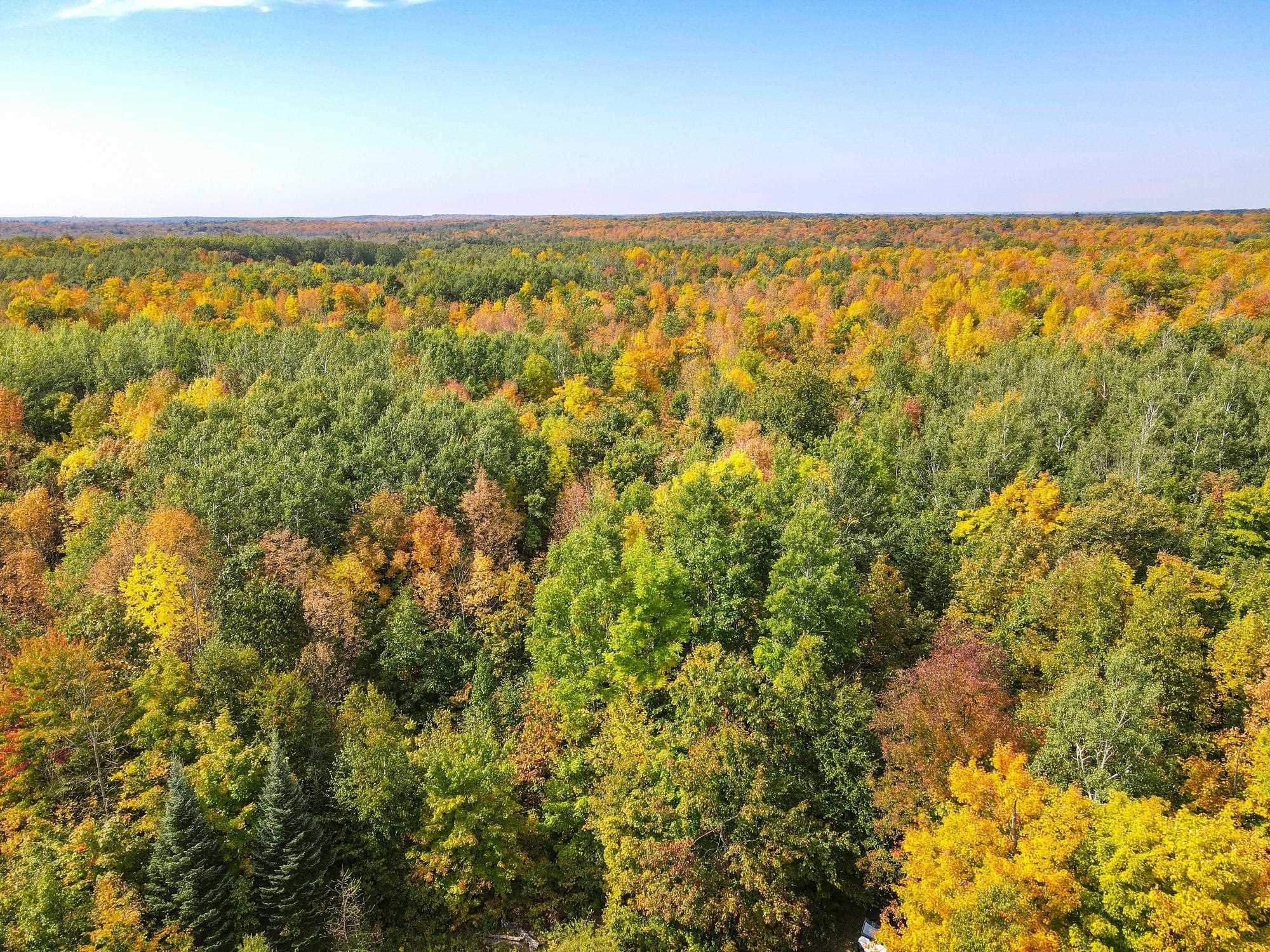 72281 Hennes Road Glidden, WI 54527 - Photo 27 of 50