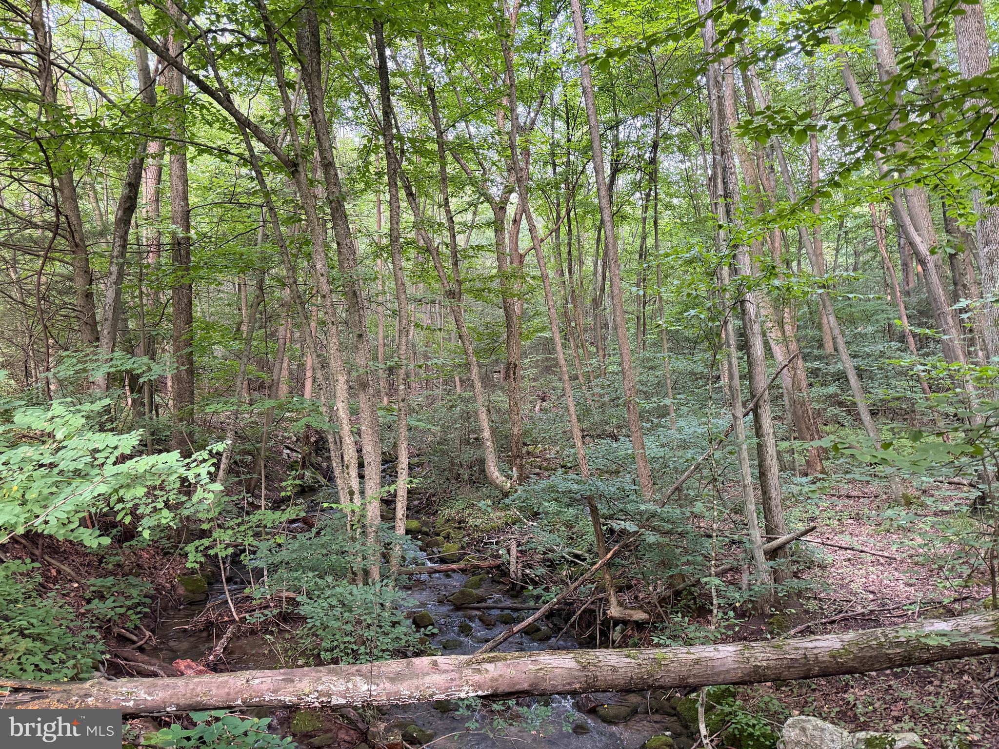 Three Laurel Mountain Road Three Springs, PA 17264 - Photo 12 of 74 Gallery Image 12