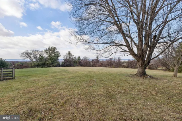 a view of outdoor space and yard