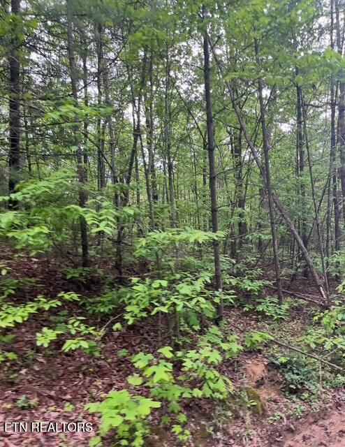 0 Possum Trot Road Grandview, TN 37337 - Photo 4 of 4 anderson 2