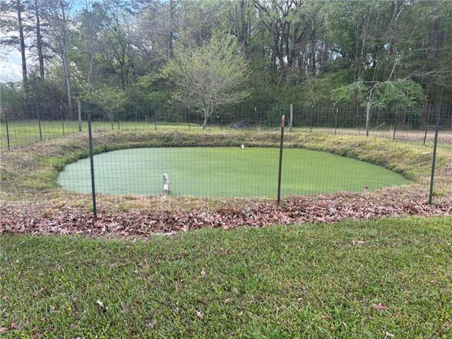 124 Kastanek Road Deville, LA 71328 - Photo 8 of 15
