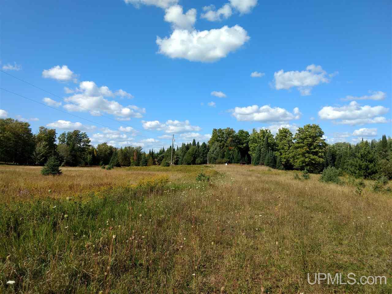 13335 Cadeau Road Baraga, MI 49908 - Photo 2 of 24 Gallery Image 2