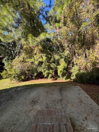 a view of a plant with a wooden floor