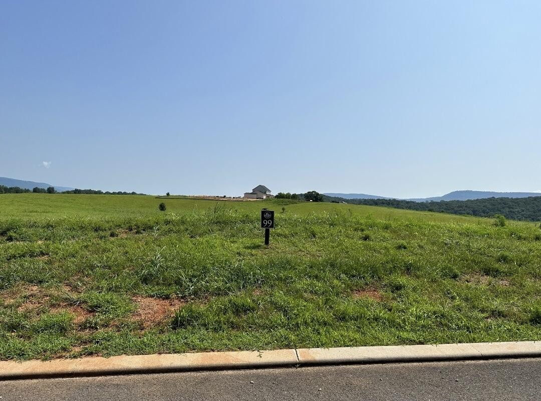 99 River Ridge Dunlap, TN 37327 - Photo 2 of 9