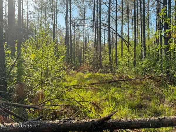 $144,000 | Dees Rd Road, Enid, MS 38927