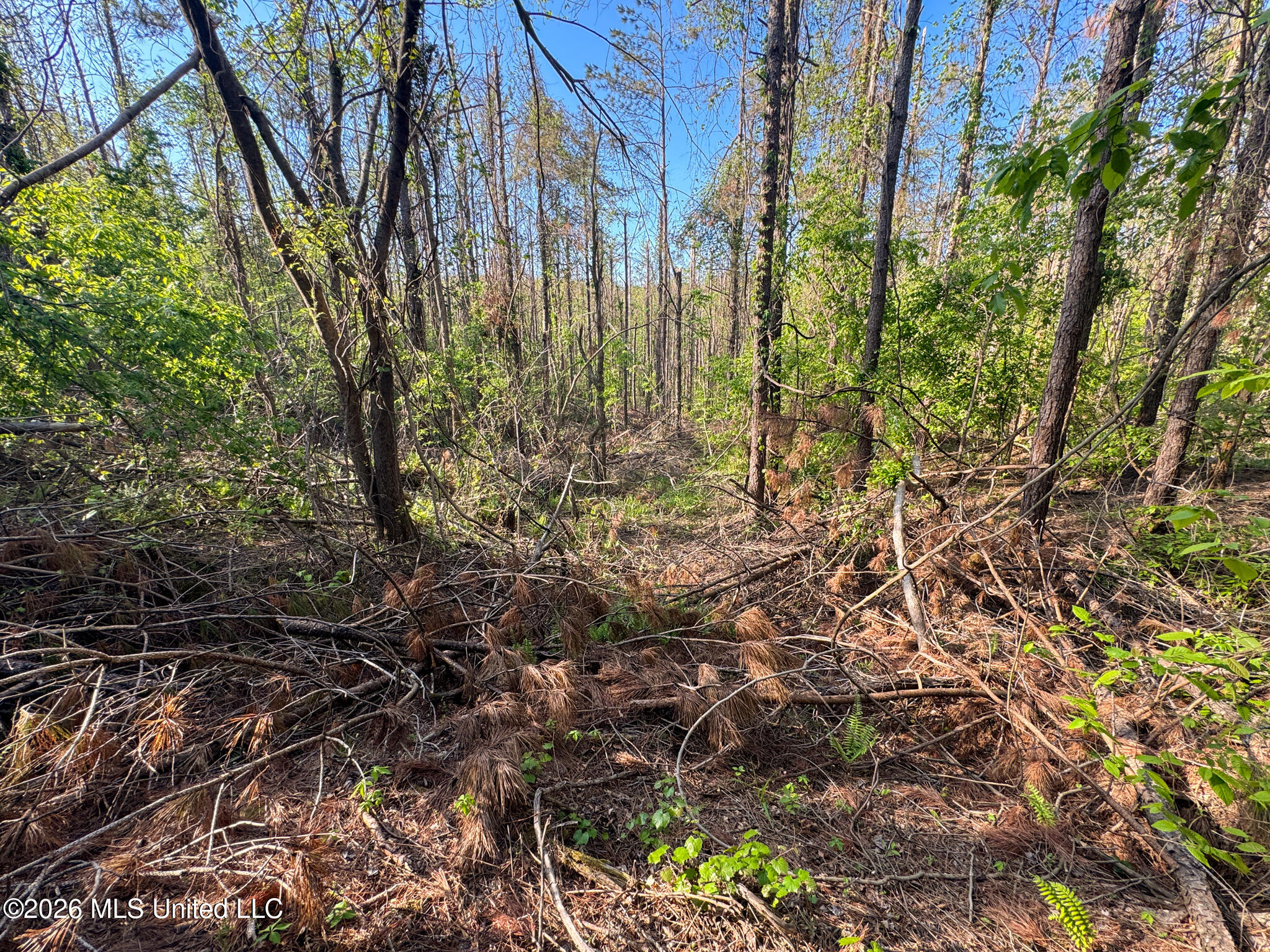 Dees Rd Road Enid, MS 38927 - Photo 17 of 57 Tallahatchie 44 Newman (Crowden) Wide-17