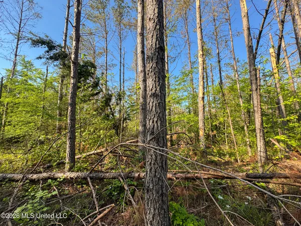 $144,000 | Dees Rd Road, Enid, MS 38927
