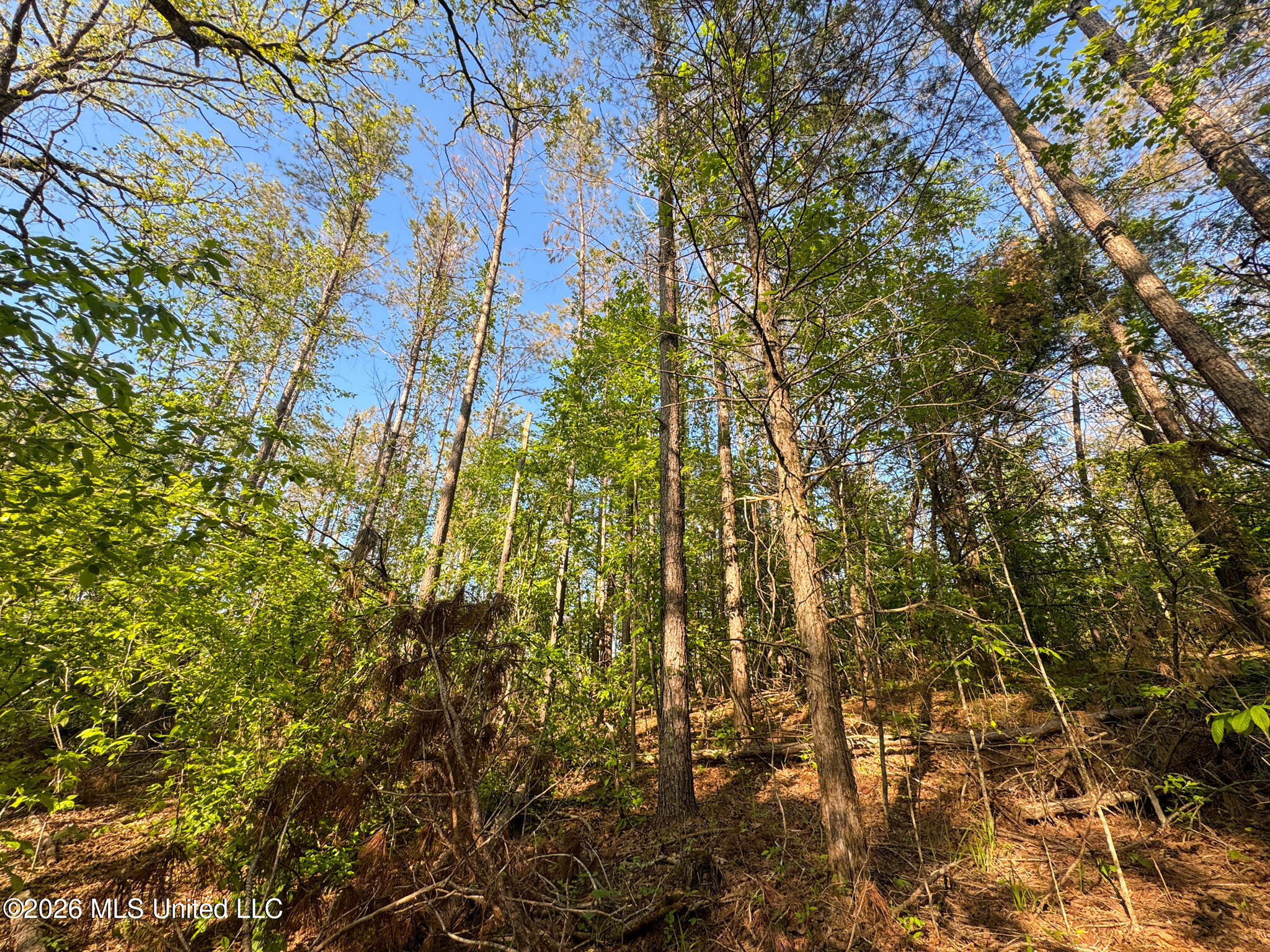 Dees Rd Road Enid, MS 38927 - Photo 20 of 57 Tallahatchie 44 Newman (Crowden) Wide-20