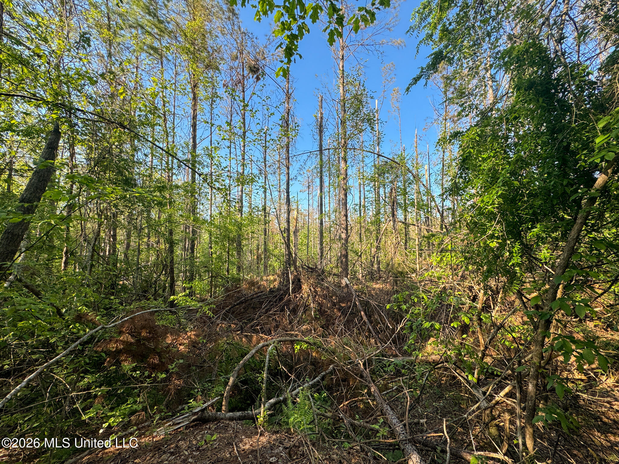 Dees Rd Road Enid, MS 38927 - Photo 21 of 57 Tallahatchie 44 Newman (Crowden) Wide-21