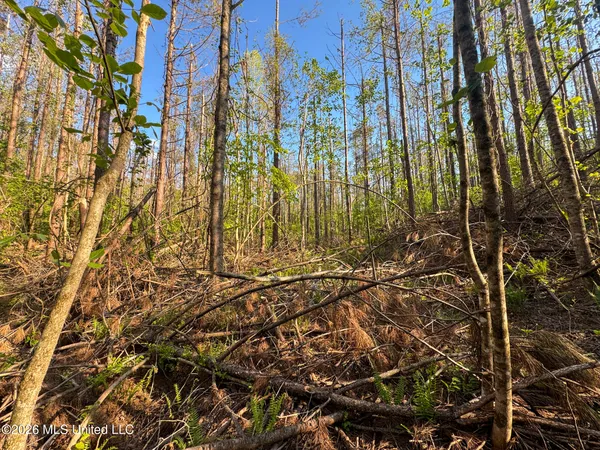 $144,000 | Dees Rd Road, Enid, MS 38927