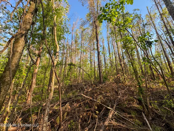 $144,000 | Dees Rd Road, Enid, MS 38927