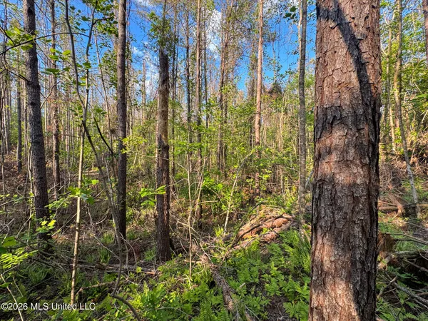 $144,000 | Dees Rd Road, Enid, MS 38927