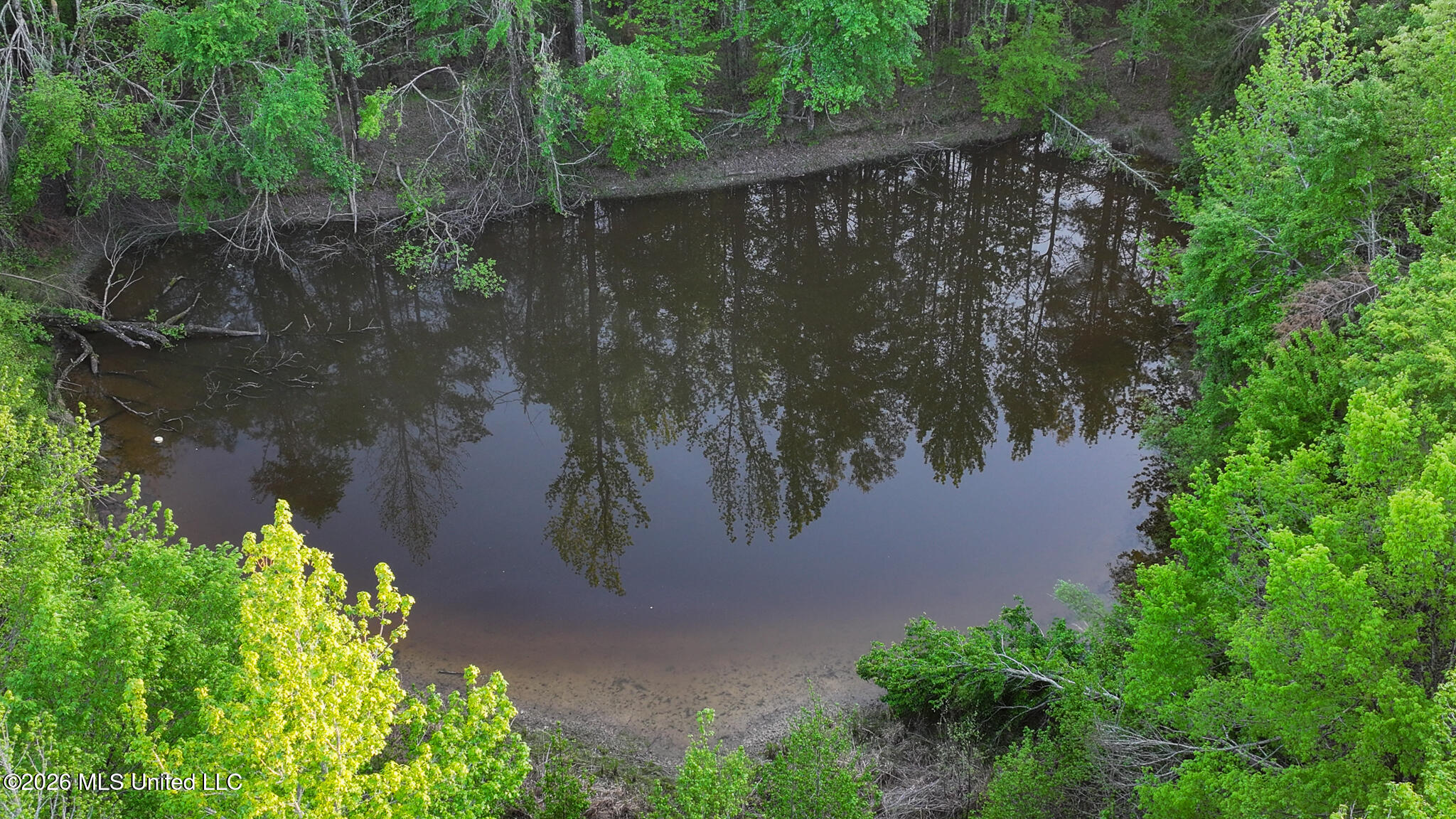 Dees Rd Road Enid, MS 38927 - Photo 3 of 57 Tallahatchie 44 Newman (Crowden) Wide-3