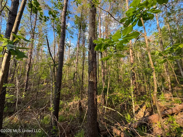 $144,000 | Dees Rd Road, Enid, MS 38927