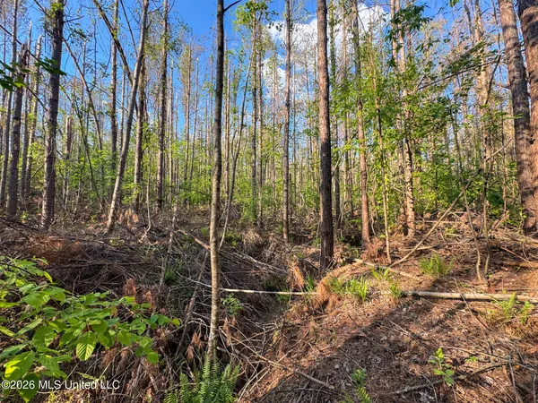 $144,000 | Dees Rd Road, Enid, MS 38927