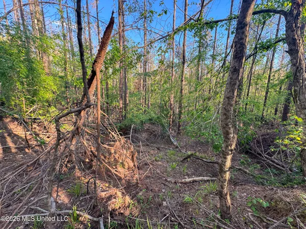 $144,000 | Dees Rd Road, Enid, MS 38927