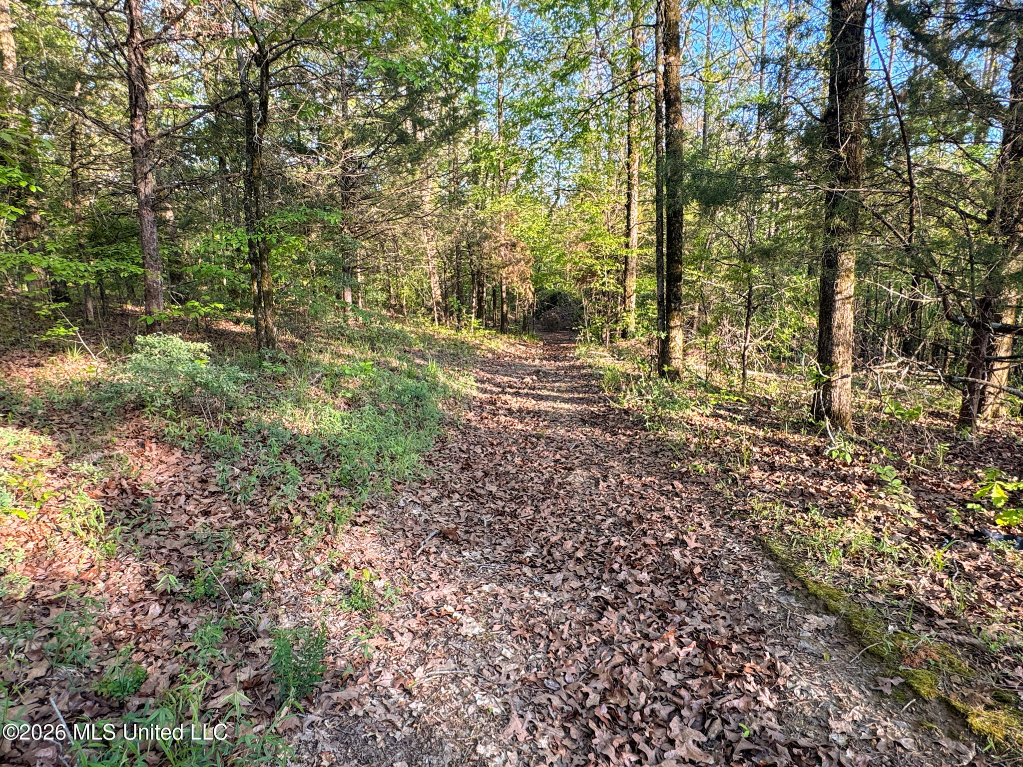 Dees Rd Road Enid, MS 38927 - Photo 40 of 57 Tallahatchie 44 Newman (Crowden) Wide-40