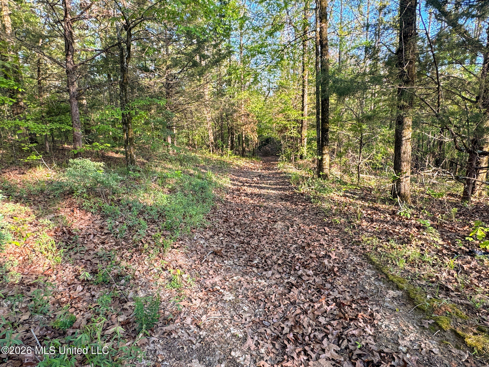 Dees Rd Road Enid, MS 38927 - Photo 41 of 57 Tallahatchie 44 Newman (Crowden) Wide-41