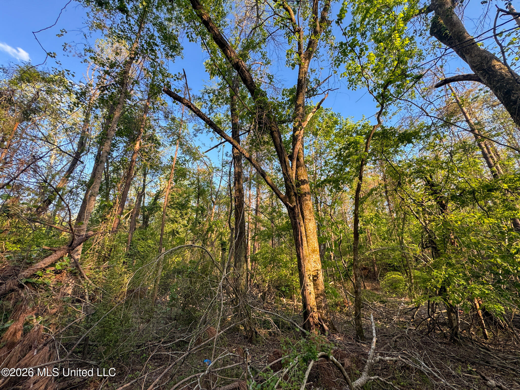 Dees Rd Road Enid, MS 38927 - Photo 43 of 57 Tallahatchie 44 Newman (Crowden) Wide-43