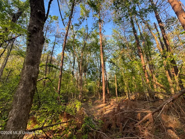 $144,000 | Dees Rd Road, Enid, MS 38927