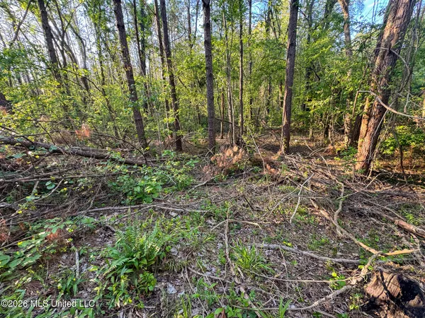 $144,000 | Dees Rd Road, Enid, MS 38927