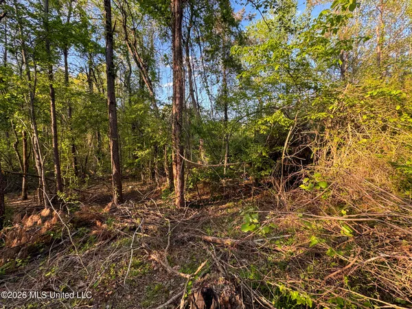 $144,000 | Dees Rd Road, Enid, MS 38927