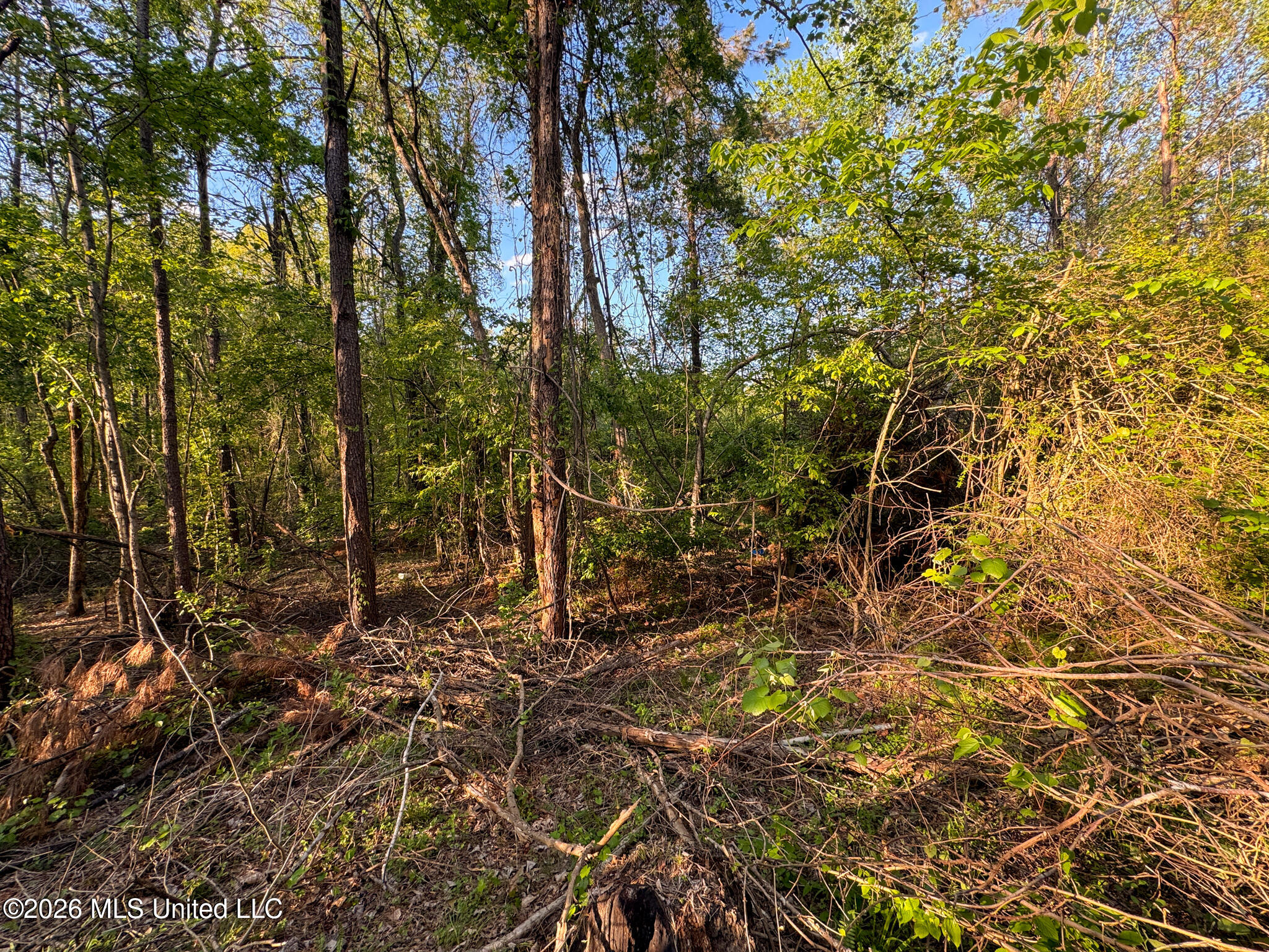Dees Rd Road Enid, MS 38927 - Photo 47 of 57 Tallahatchie 44 Newman (Crowden) Wide-47