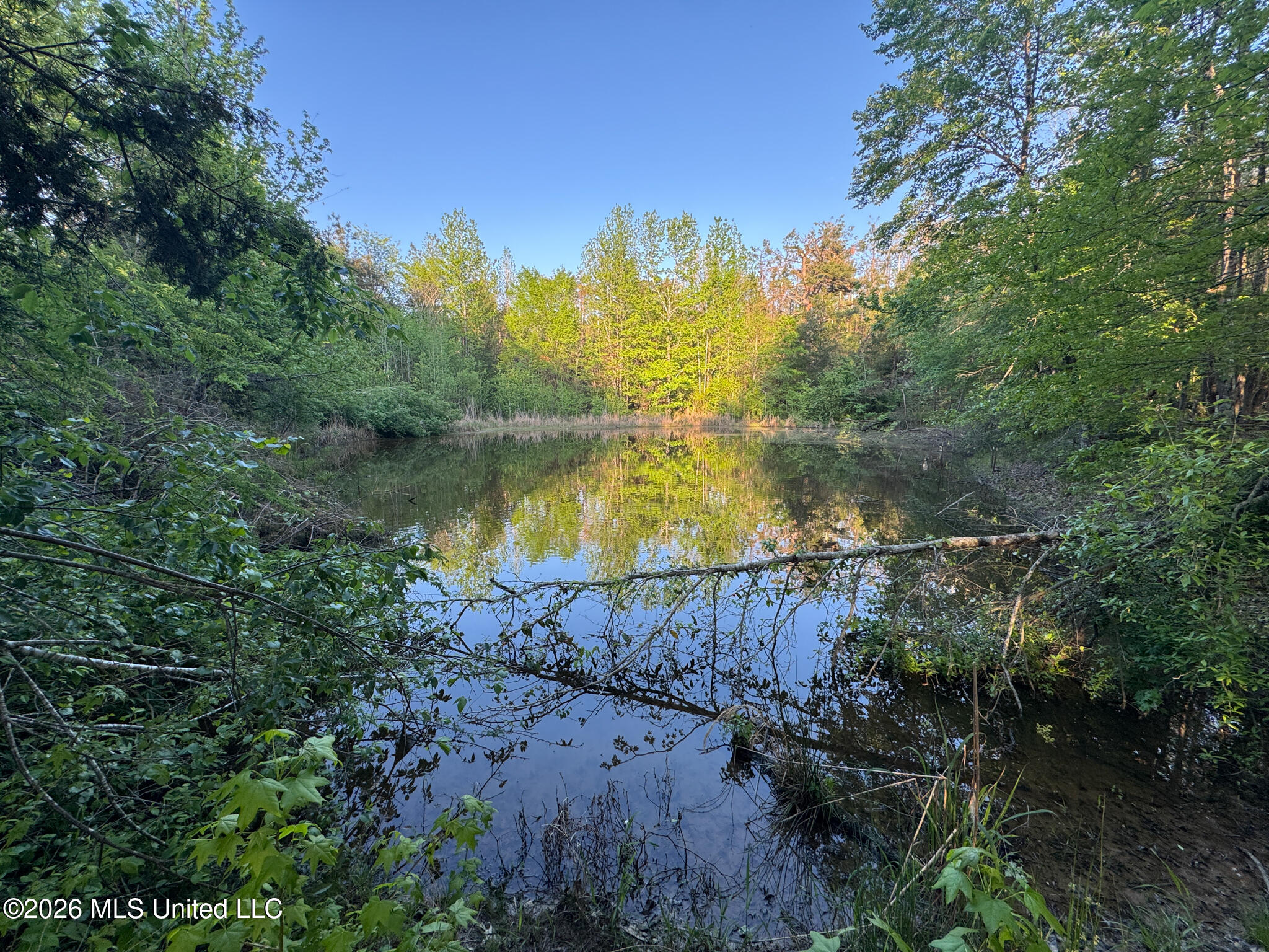 Dees Rd Road Enid, MS 38927 - Photo 48 of 57 Tallahatchie 44 Newman (Crowden) Wide-48