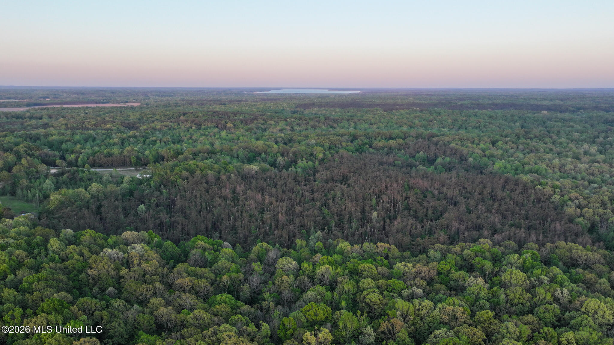 Dees Rd Road Enid, MS 38927 - Photo 49 of 57 Tallahatchie 44 Newman (Crowden) Wide-49