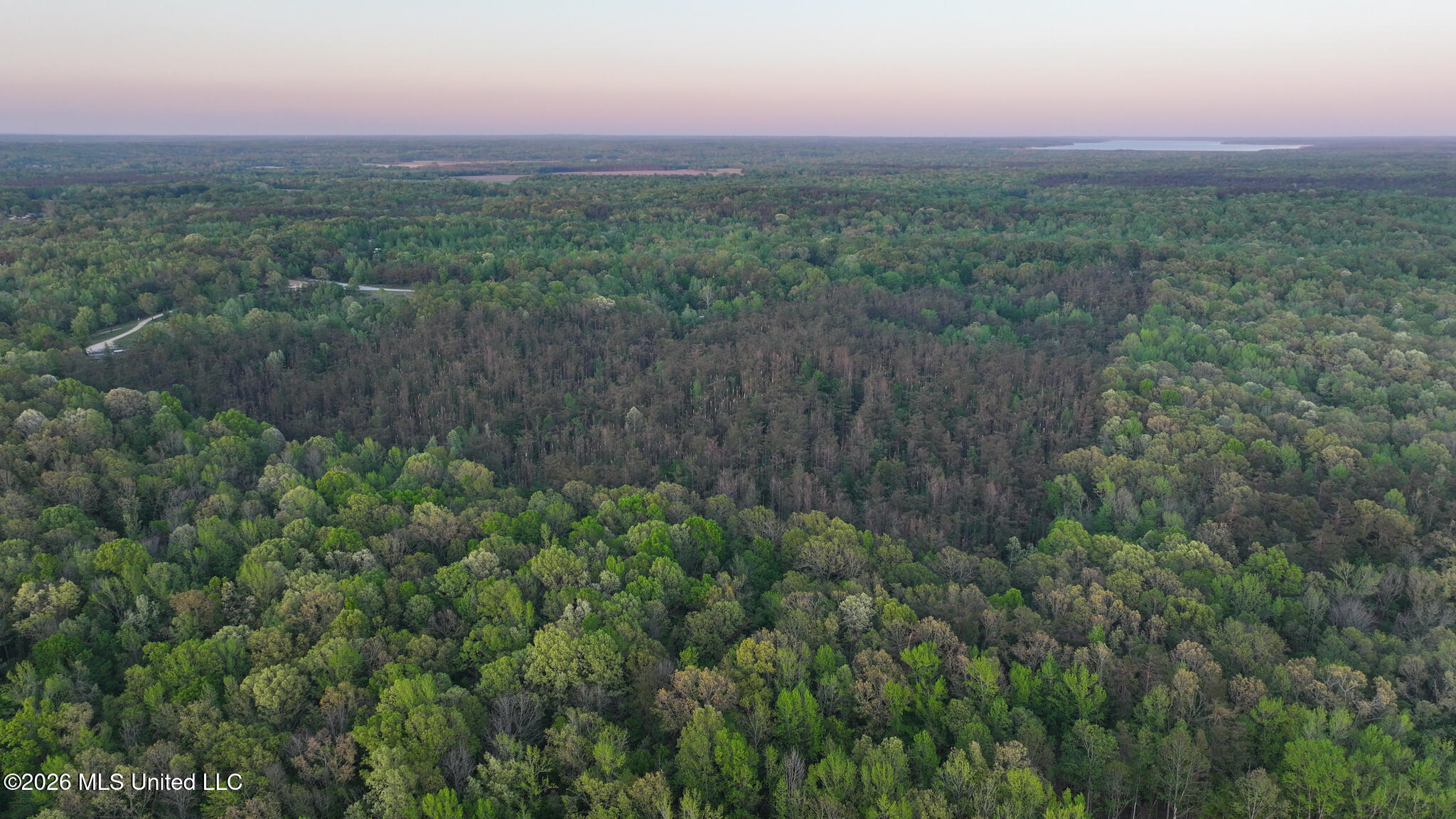 Dees Rd Road Enid, MS 38927 - Photo 50 of 57 Tallahatchie 44 Newman (Crowden) Wide-50