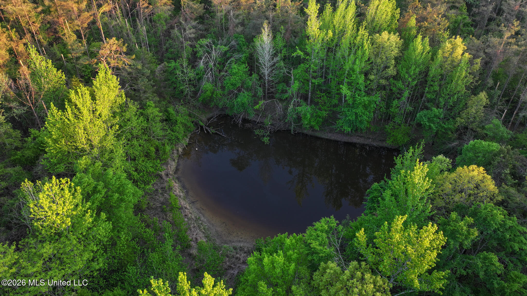 Dees Rd Road Enid, MS 38927 - Photo 5 of 57 Tallahatchie 44 Newman (Crowden) Wide-5