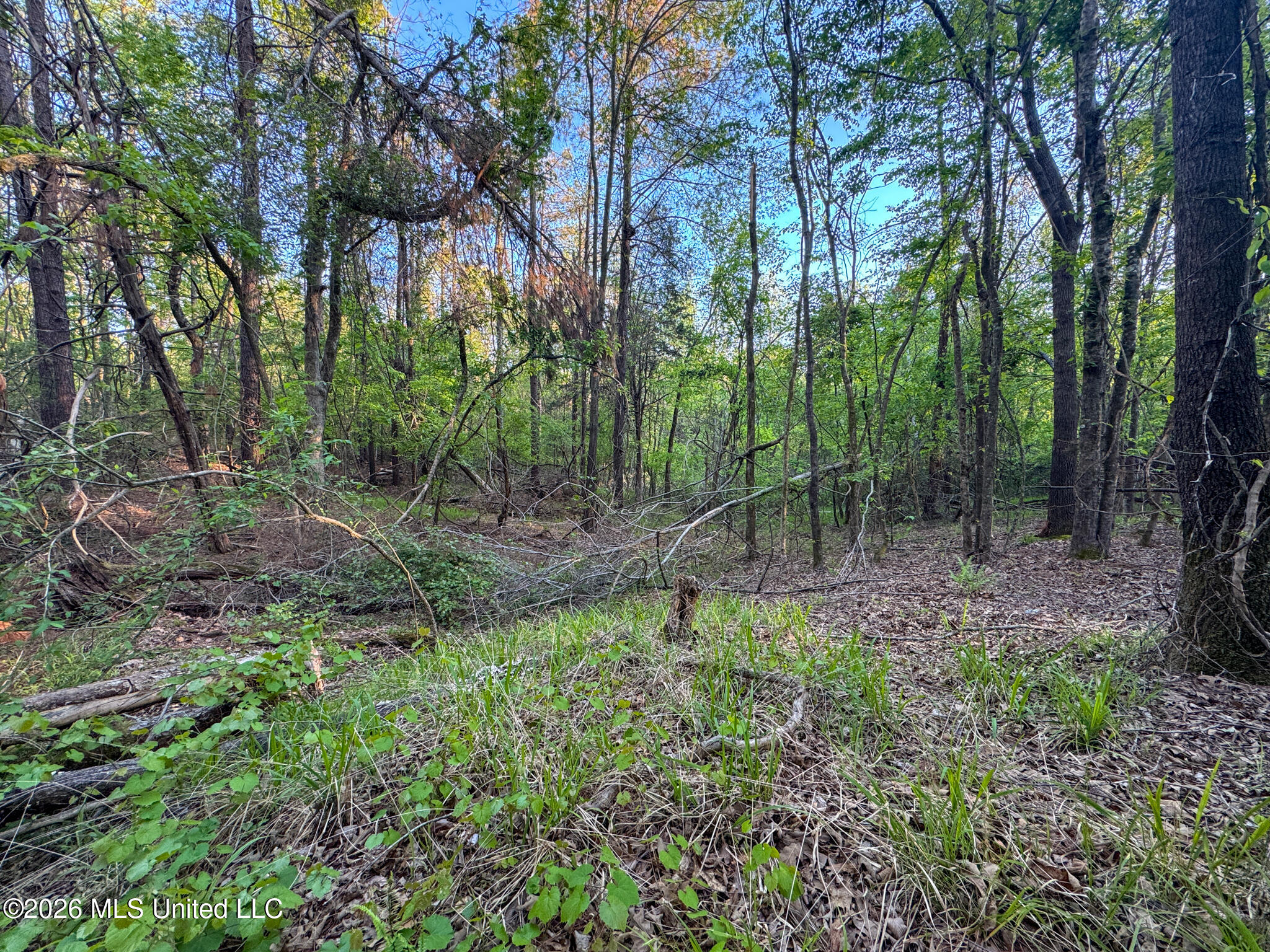 Dees Rd Road Enid, MS 38927 - Photo 52 of 57 Tallahatchie 44 Newman (Crowden) Wide-52