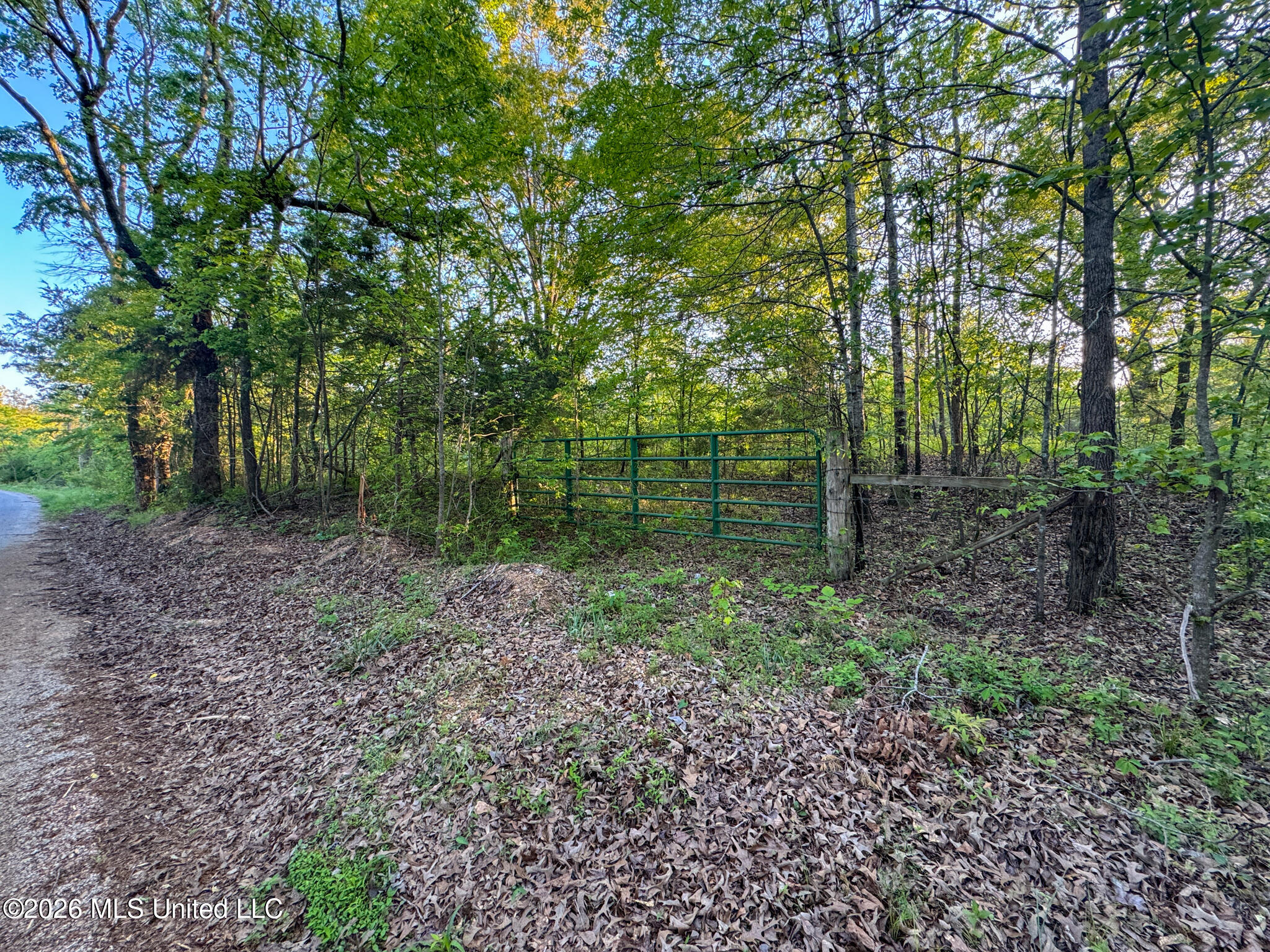 Dees Rd Road Enid, MS 38927 - Photo 55 of 57 Tallahatchie 44 Newman (Crowden) Wide-55