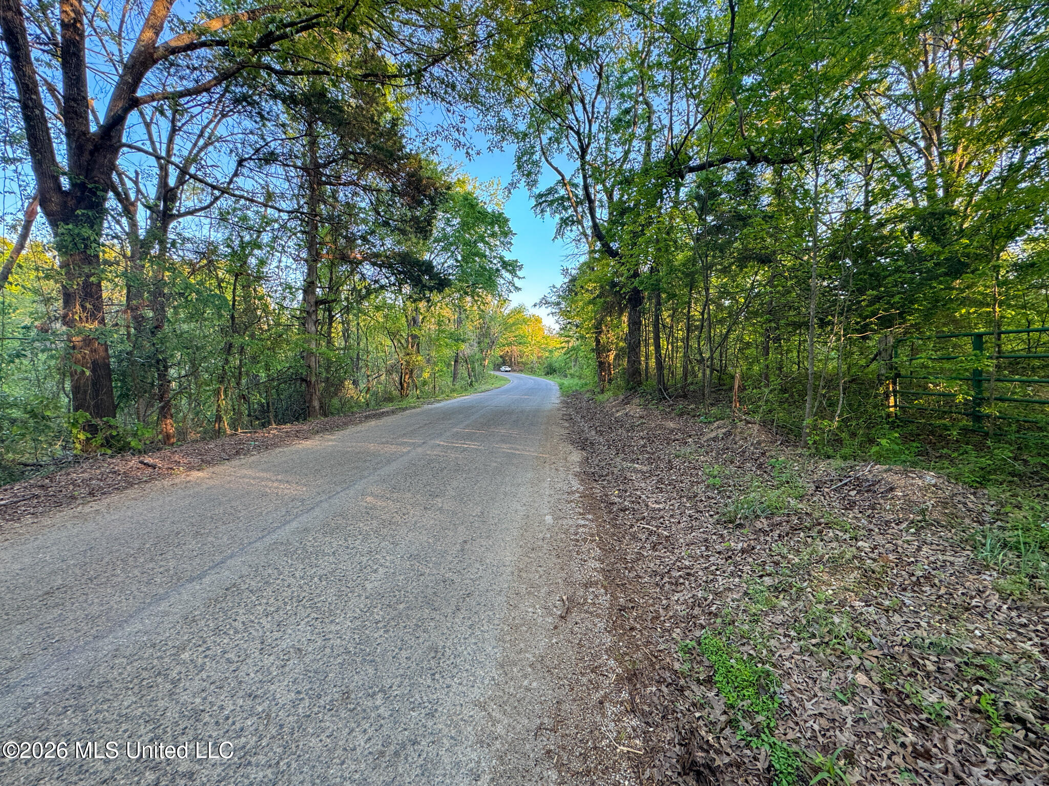 Dees Rd Road Enid, MS 38927 - Photo 56 of 57 Tallahatchie 44 Newman (Crowden) Wide-56