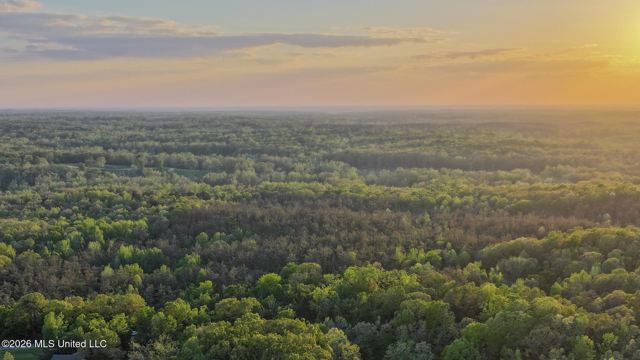 Dees Rd Road Enid, MS 38927 - Photo 57 of 57 Tallahatchie 44 Newman (Crowden) Wide-58