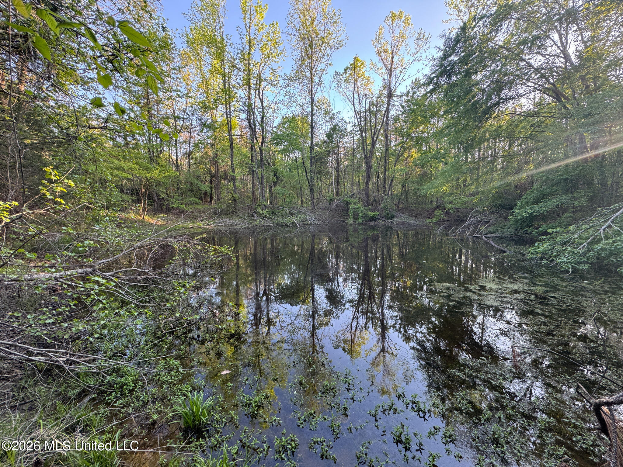 Dees Rd Road Enid, MS 38927 - Photo 7 of 57 Tallahatchie 44 Newman (Crowden) Wide-7