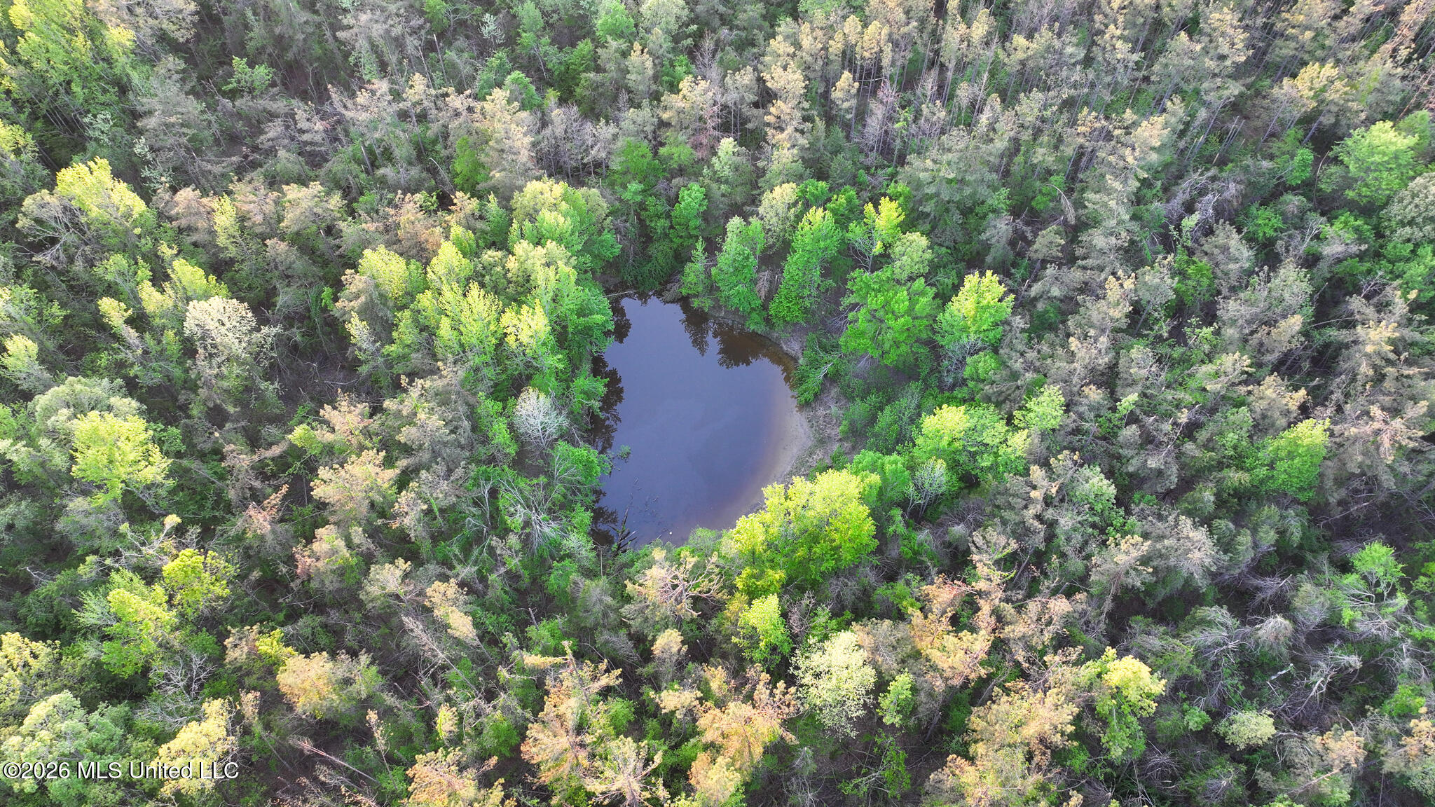 Dees Rd Road Enid, MS 38927 - Photo 8 of 57 Tallahatchie 44 Newman (Crowden) Wide-8