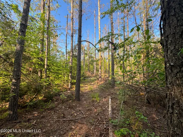 $144,000 | Dees Rd Road, Enid, MS 38927