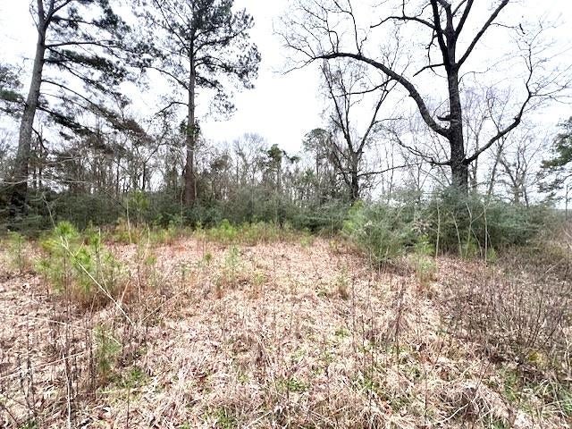 0 Potter Road Opp, AL 36467 - Photo 3 of 10 Gallery Image 3